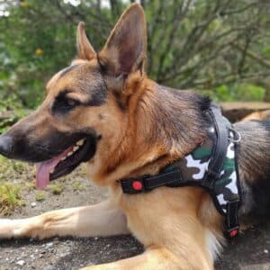 Arnes diseño militar gatos y perros - image 2